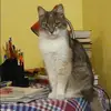 Отзыв от Лена Звягинцева